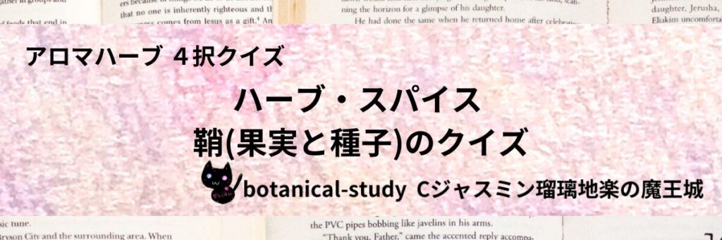 鞘(果実と種子)/ハーブ・スパイス/カテゴリー＠botanical-study