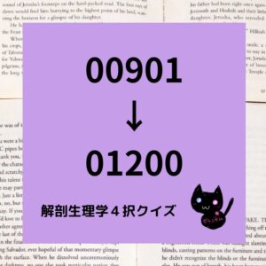 解剖生理学４択クイズ一問一答(00901～01200)正方形カテゴリー＠botanical-study