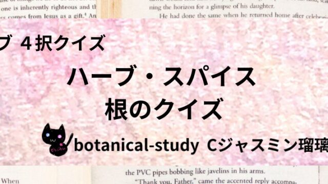 根/ハーブ・スパイス/カテゴリー@botanical-study