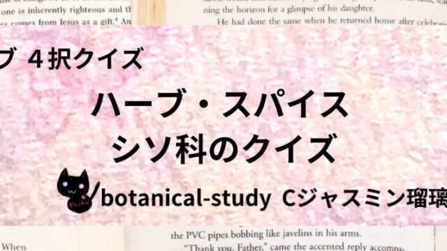 シソ科/ハーブ・スパイス/カテゴリー@botanical-study