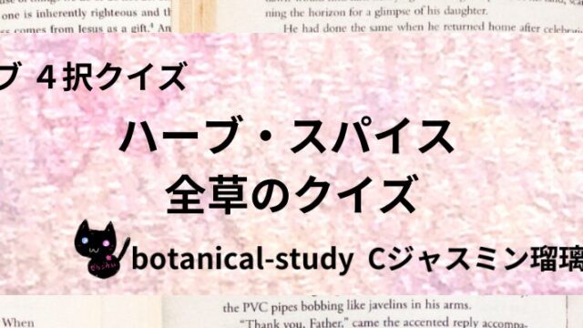 全草/ハーブ・スパイス/カテゴリー@botanical-study