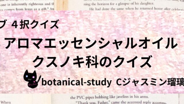 クスノキ科/アロマエッセンシャルオイル/カテゴリー@botanical-study