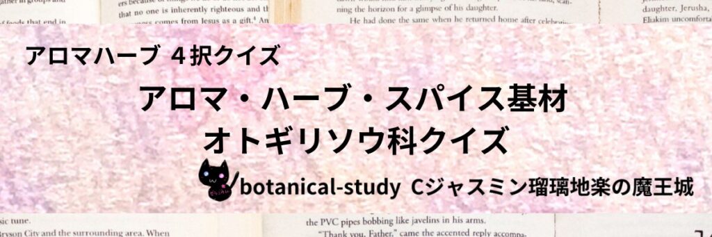 オトギリソウ科/アロマハーブスパイス基材/カテゴリー＠botanical-study