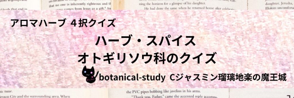 オトギリソウ科/ハーブ・スパイス/カテゴリー＠botanical-study