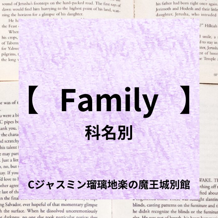 c-jasmine-rurichigaku-aroma-herb-4choice-quiz-family-quiz-category- botanical-study