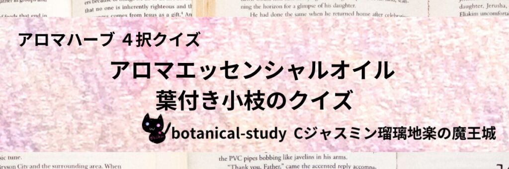 葉付き小枝/アロマエッセンシャルオイル/カテゴリー＠botanical-study