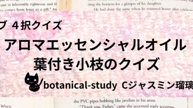 葉付き小枝/アロマエッセンシャルオイル/カテゴリー@botanical-study