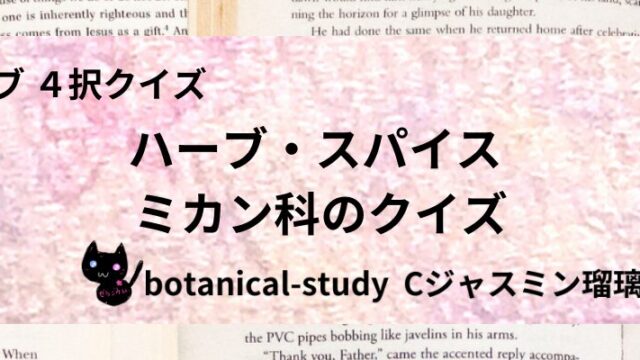 ミカン科/ハーブ・スパイス/カテゴリー@botanical-study