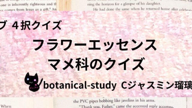 マメ科/フラワーエッセンス/カテゴリー@botanical-study