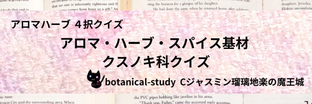 クスノキ科/アロマハーブスパイス基材/カテゴリー＠botanical-study