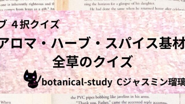 全草/アロマハーブスパイス基材/カテゴリー@botanical-study