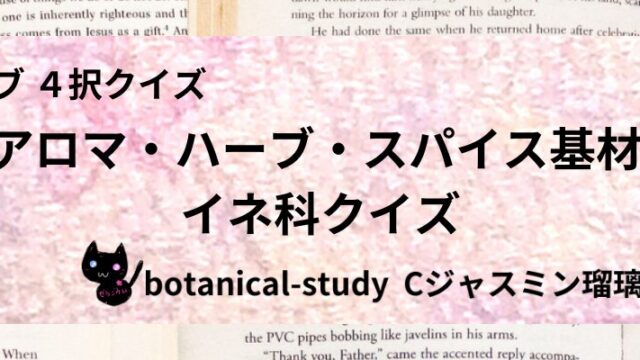 イネ科/アロマハーブスパイス基材/カテゴリー@botanical-study