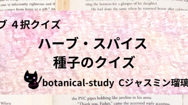 種子/ハーブ・スパイス/カテゴリー@botanical-study