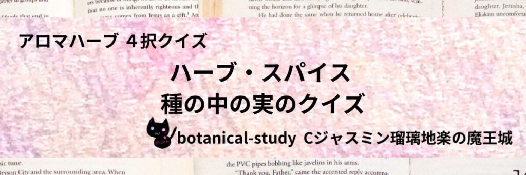 種の中の実/ハーブ・スパイス/カテゴリー＠botanical-study