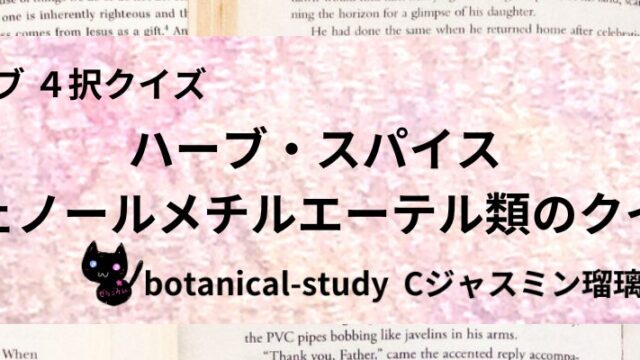 フェノールメチルエーテル類/ハーブ・スパイス/カテゴリー@botanical-study