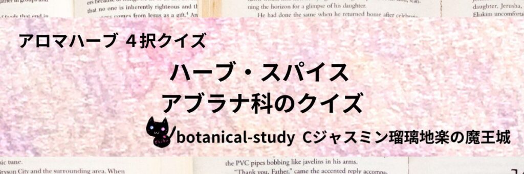 アブラナ科/ハーブ・スパイス/カテゴリー＠botanical-study