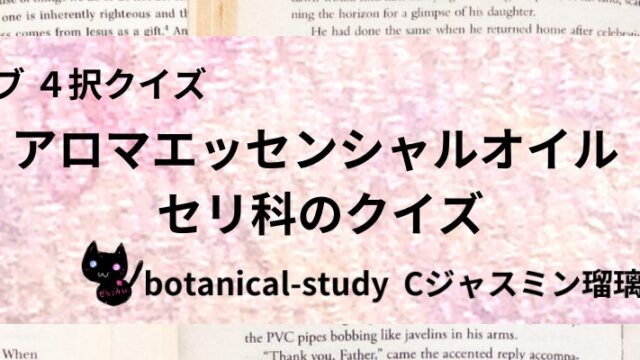 セリ科/アロマエッセンシャルオイル/カテゴリー@botanical-study