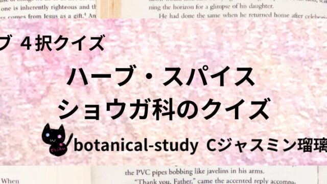 ショウガ科/ハーブ・スパイス/カテゴリー@botanical-study