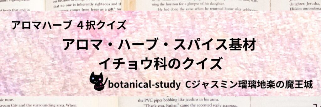 イチョウ科/アロマハーブスパイス基材/カテゴリー＠botanical-study