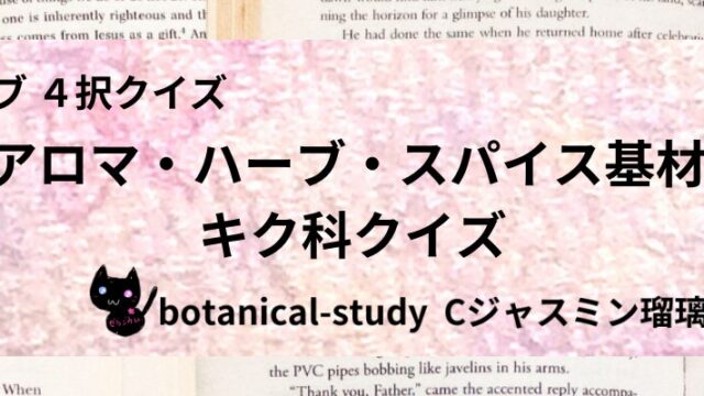 kiku-family-aroma-herb-spice-base-category-botanical-study