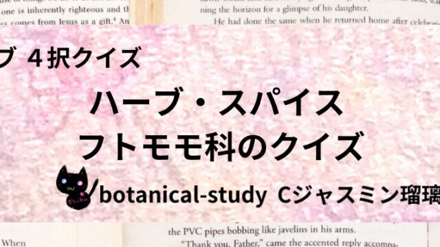 フトモモ科/ハーブ・スパイス/カテゴリー@botanical-study
