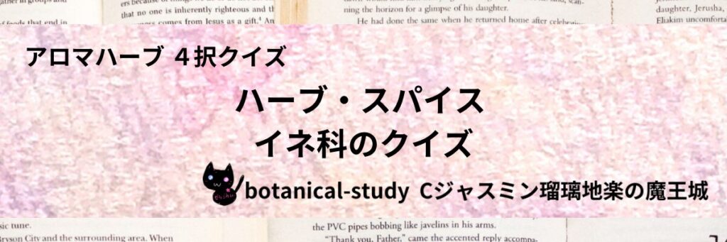 イネ科/ハーブ・スパイス/カテゴリー＠botanical-study