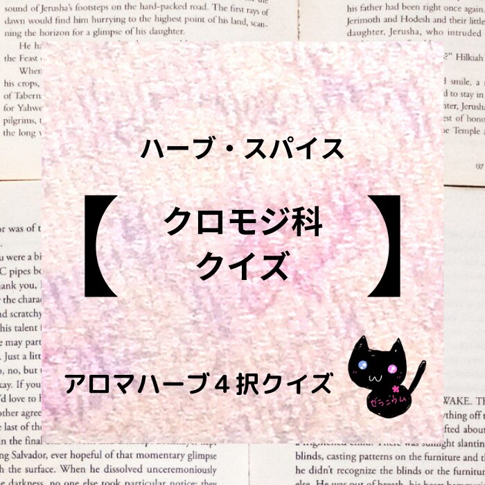 クロモジ科/ハーブ・スパイス/カテゴリー＠botanical-study