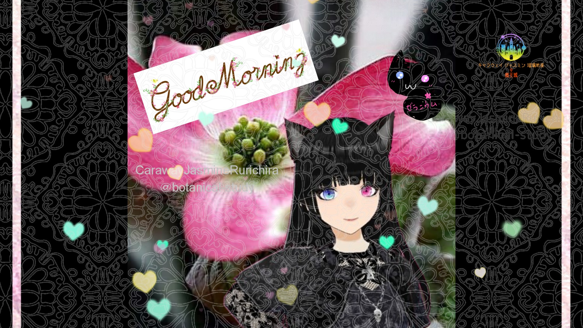 「ハナミズキ」とCジャスミン瑠璃地楽の今日の誕生花B-3月18日＠botanical-study