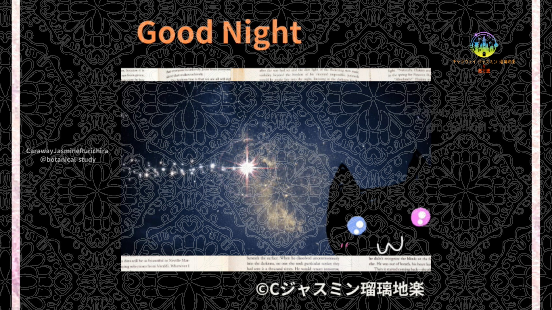 おやすみOR1 010＠botanical-study