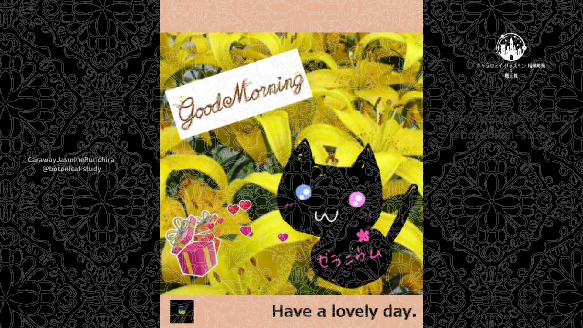 「スカシユリ」3月12日Rゼラニウム瑠璃地楽と今日の誕生花とおはようメッセージ＠botanical-study