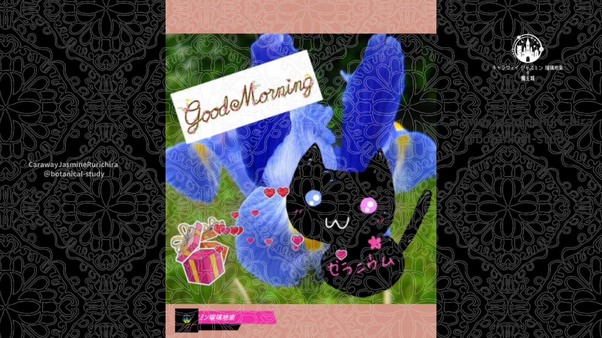 「アイリス」3月18日Rゼラニウム瑠璃地楽と今日の誕生花とおはようメッセージ@botanical-study