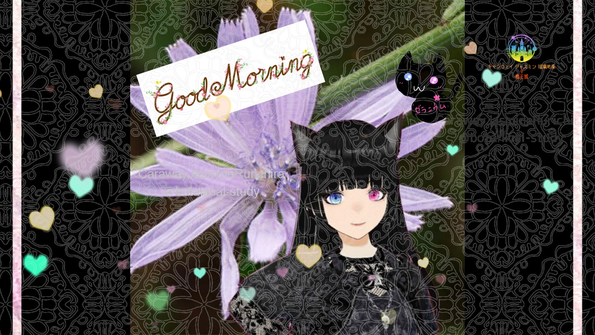 「チコリ」とCジャスミン瑠璃地楽の今日の誕生花B-3月11日＠botanical-study