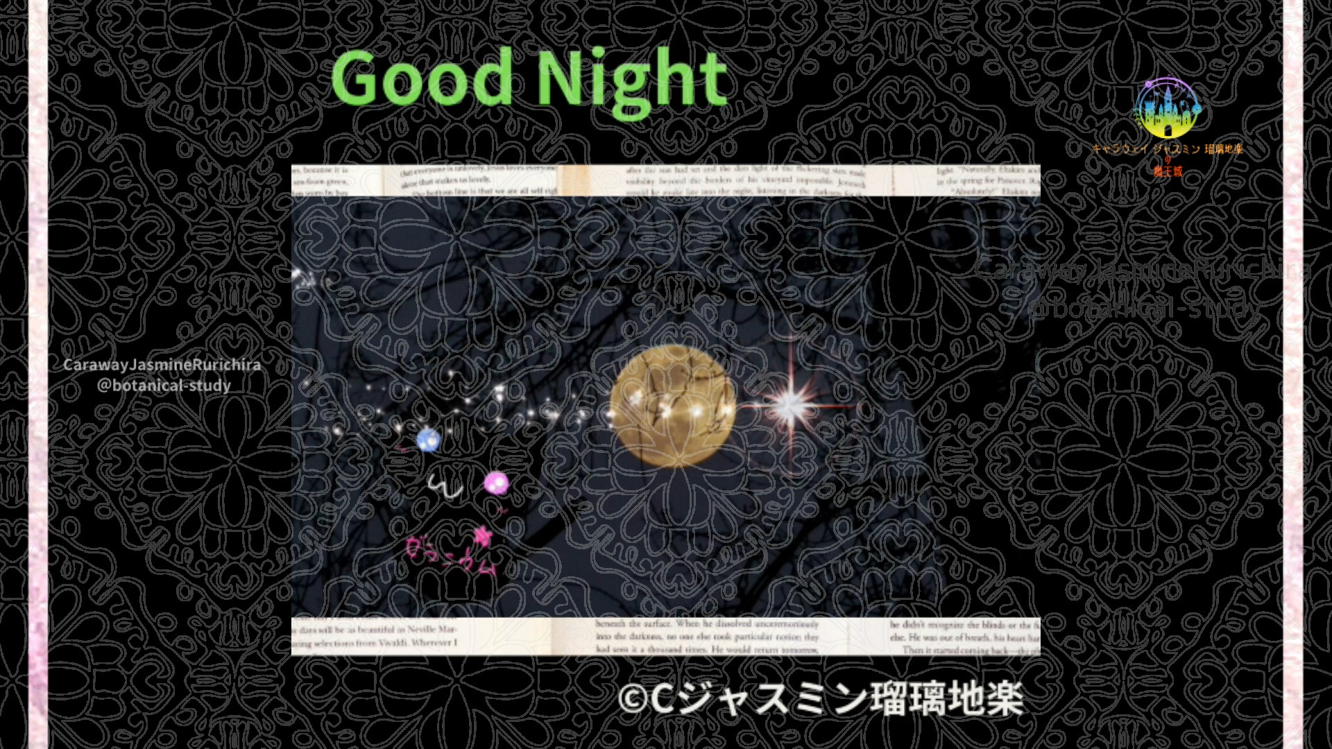 おやすみGR1 012@botanical-study