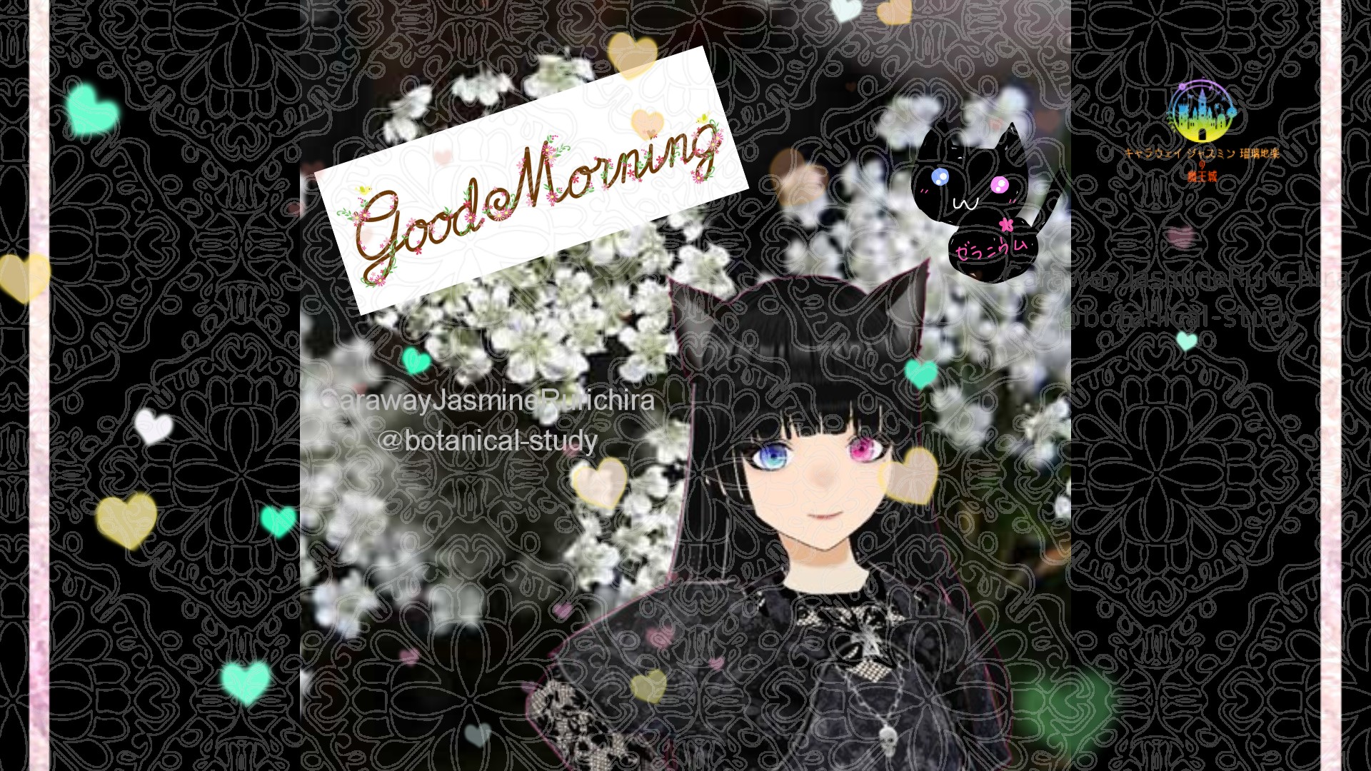 「レースフラワー」とCジャスミン瑠璃地楽の今日の誕生花B-3月15日＠botanical-study