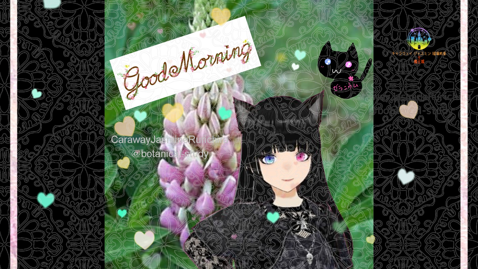 「ルピナス」とCジャスミン瑠璃地楽の今日の誕生花B-3月17日＠botanical-study