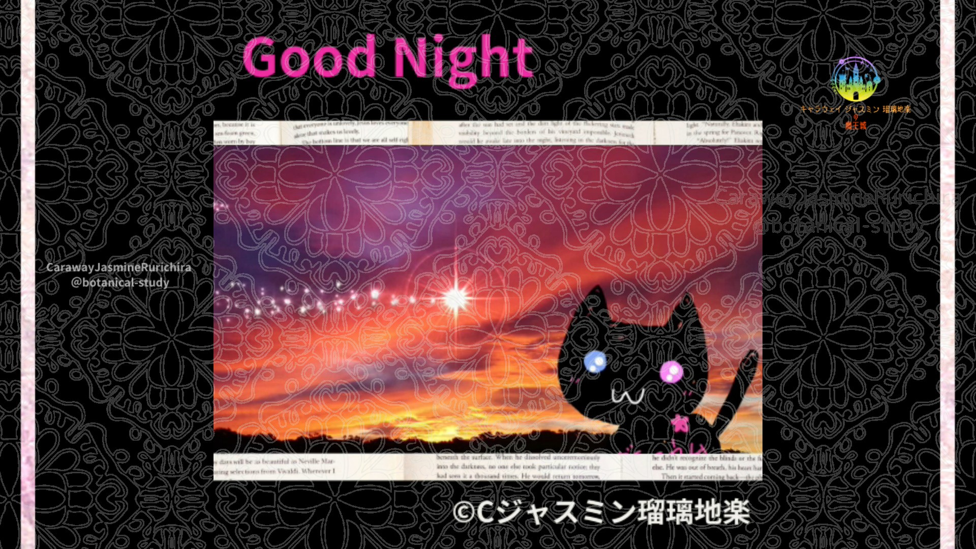 おやすみMP1 016＠botanical-study