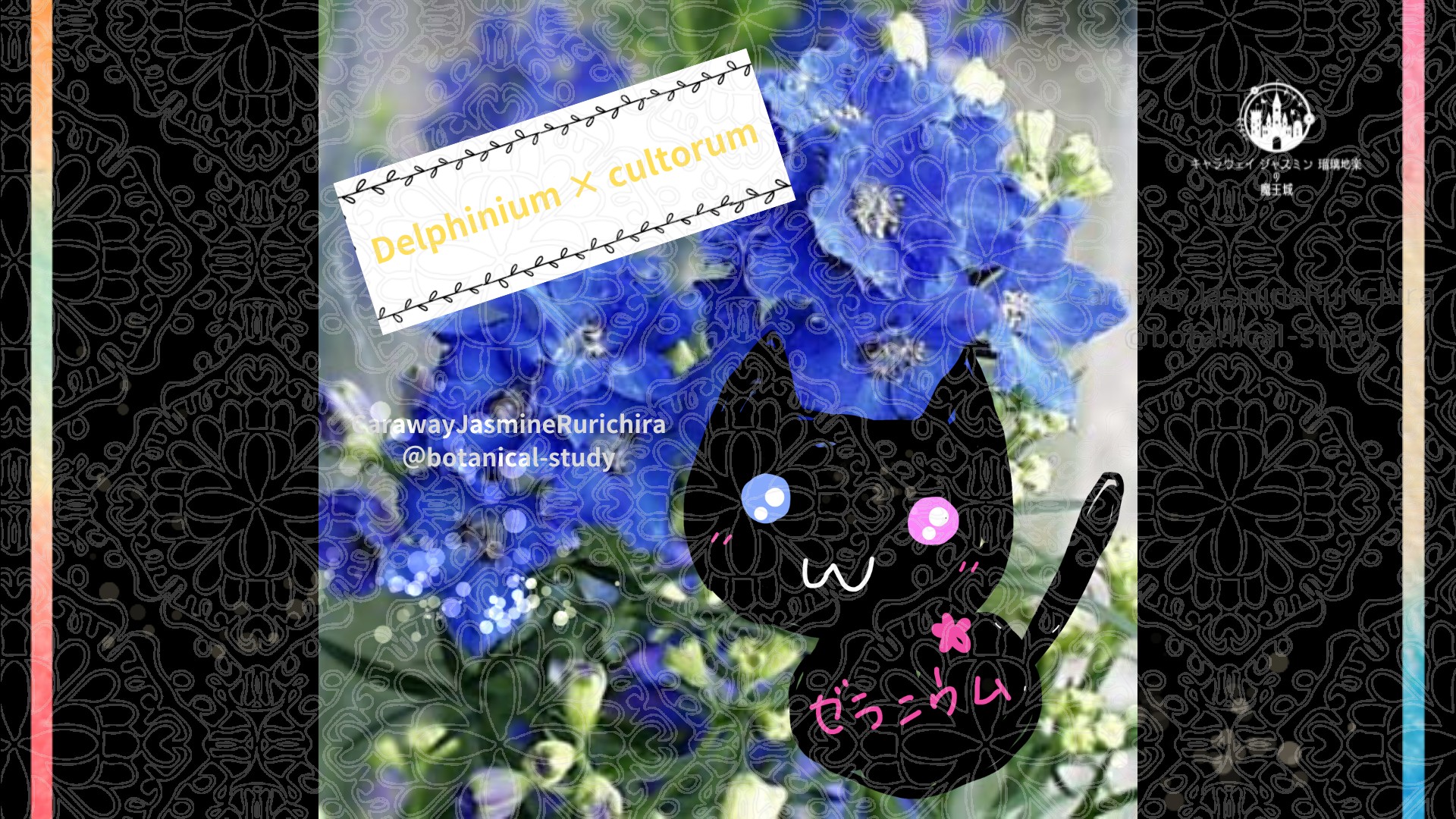 今日の誕生花A　4.19