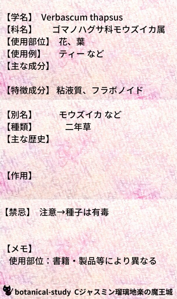 マレインとCジャスミン瑠璃地楽のアロマハーブプチ辞典@botanical-study/ハーブ