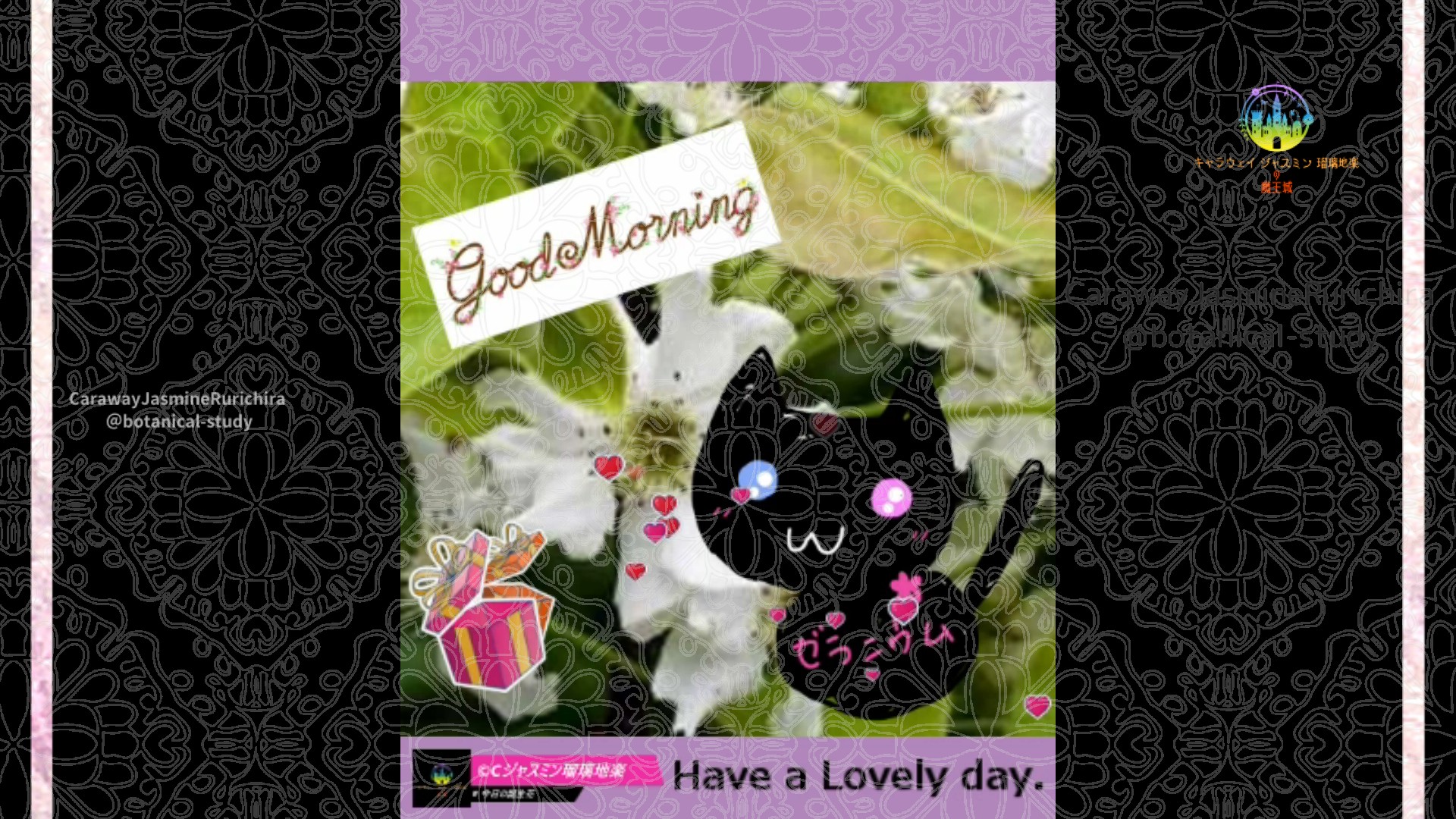 「」4月20日Rゼラニウム瑠璃地楽と今日の誕生花とおはようメッセージ@botanical-study