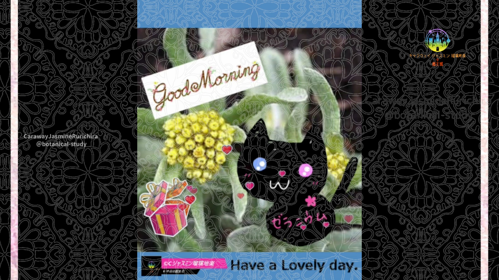 「ハハコグサ」4月25日Rゼラニウム瑠璃地楽と今日の誕生花とおはようメッセージ@botanical-study