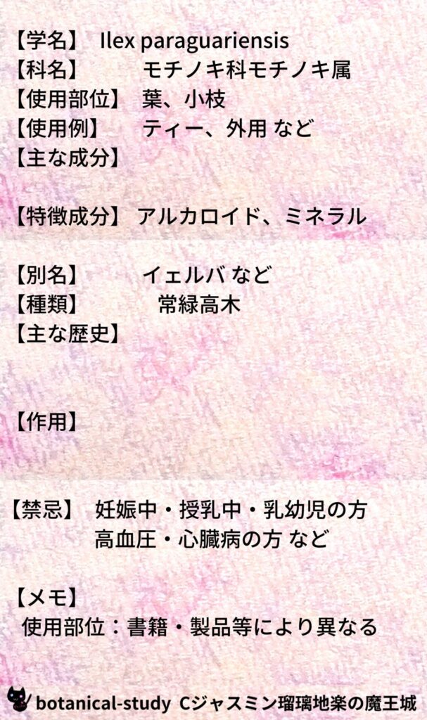 マテとCジャスミン瑠璃地楽のアロマハーブプチ辞典@botanical-study