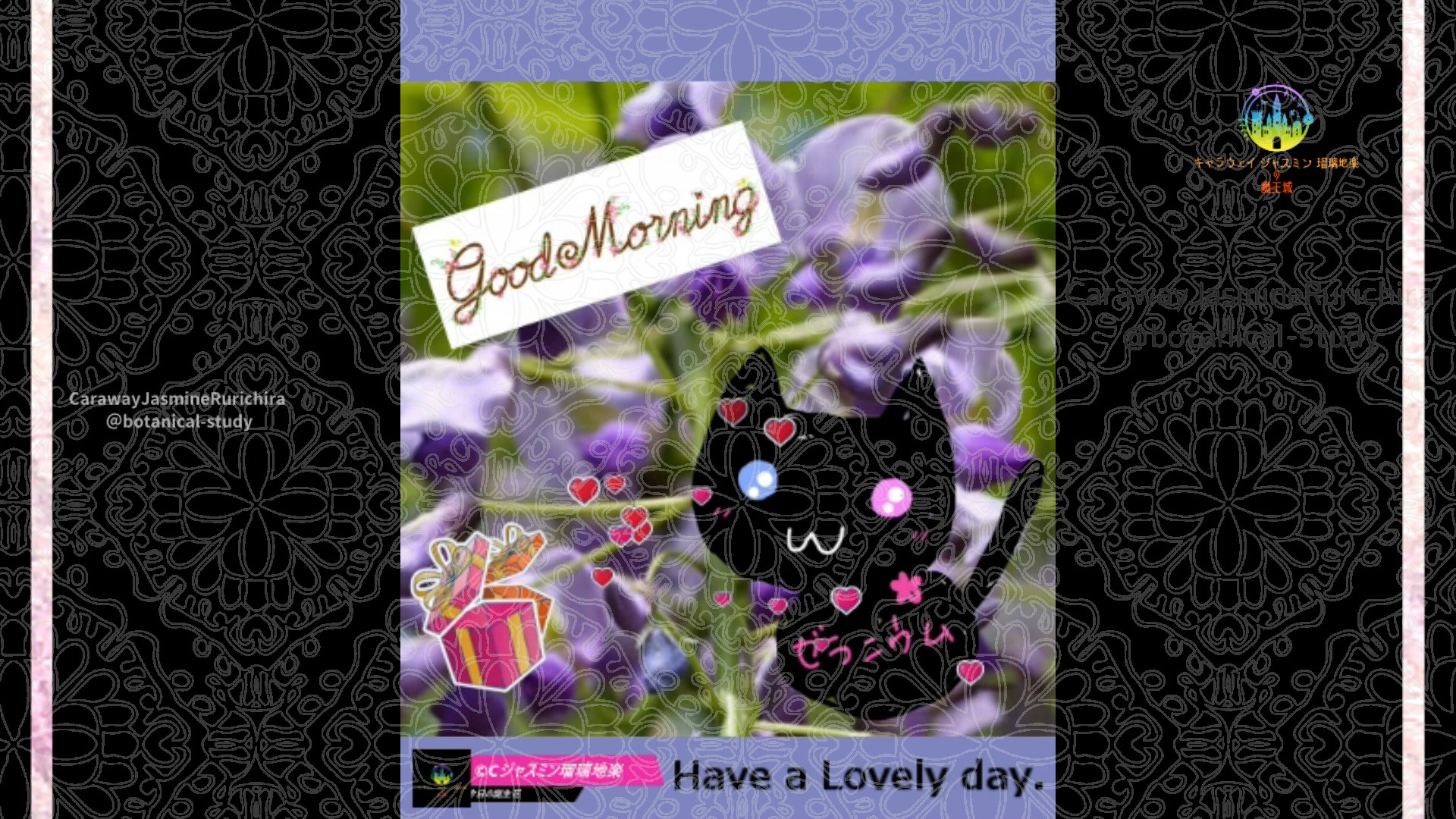 「フジ」4月29日とCジャスミン瑠璃地楽の今日の誕生花@botanical-study