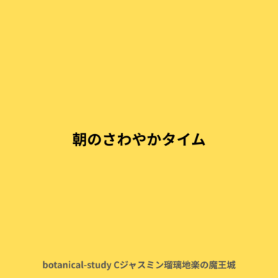 朝のさわやかタイム