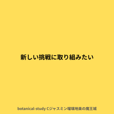 新しい挑戦に取り組みたい