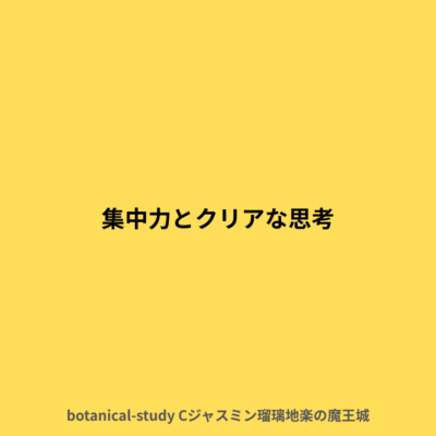 集中力とクリアな思考