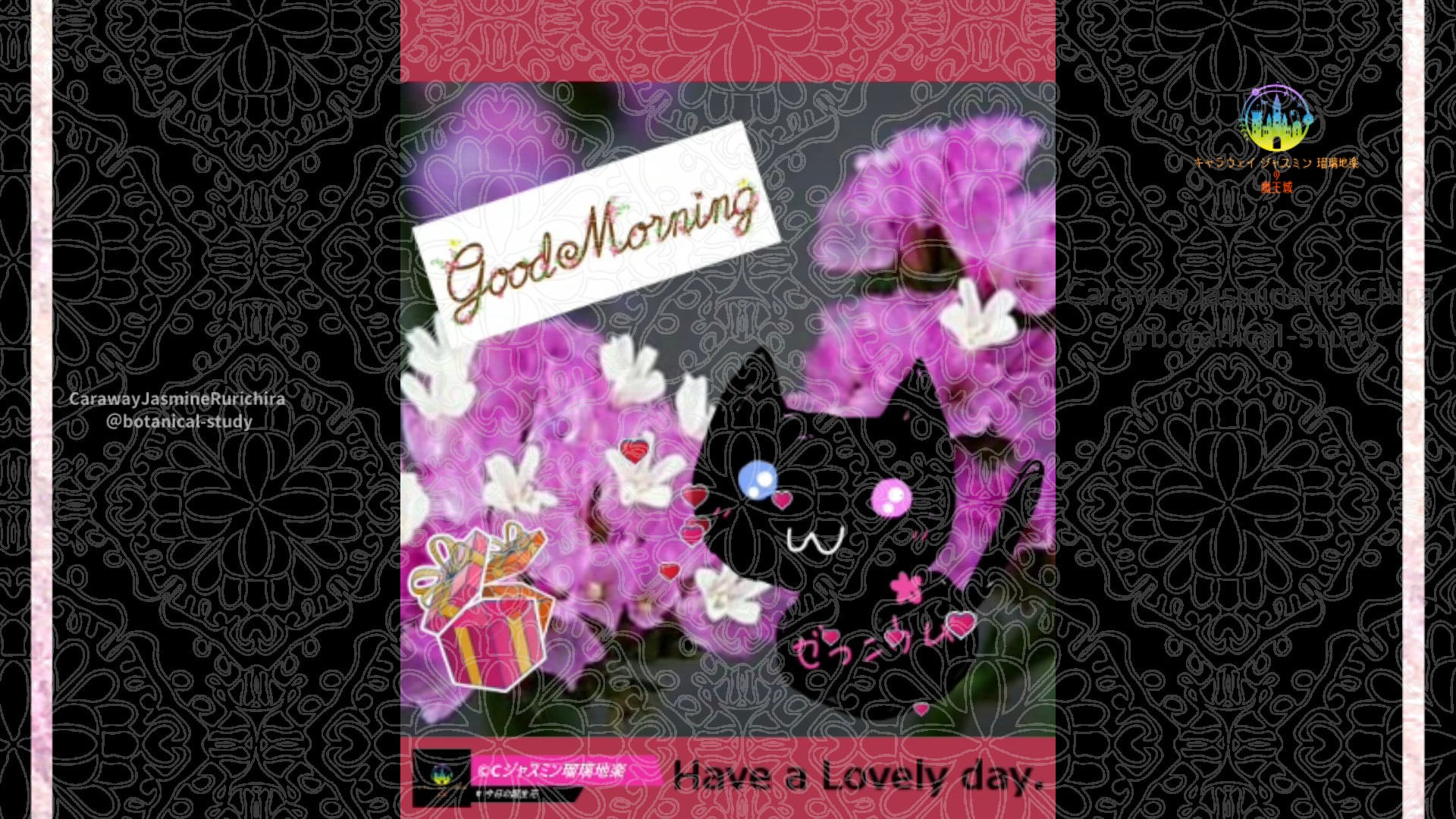 「スターチス」4月18日Rゼラニウム瑠璃地楽と今日の誕生花とおはようメッセージ@botanical-study