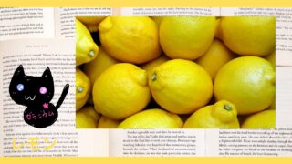 Aroma Herb Diagnosis‐Lemon‐レモン＠botanical-study