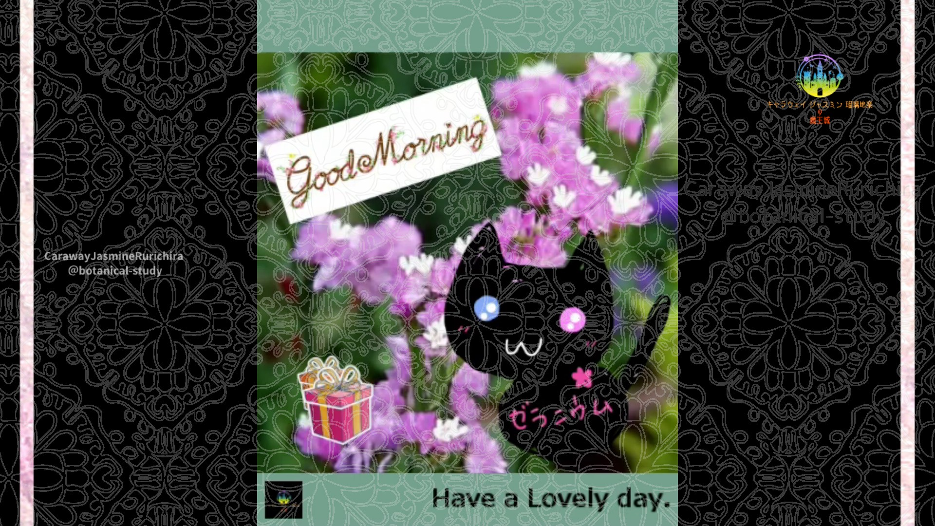 「スターチス」5月7日Rゼラニウム瑠璃地楽と今日の誕生花とおはようメッセージ@botanical-study