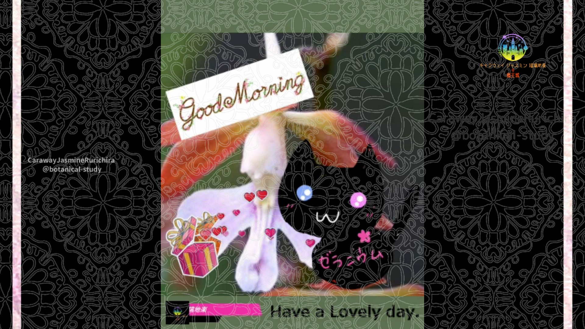 「エビネ」5月26日Rゼラニウム瑠璃地楽と今日の誕生花とおはようメッセージ@botanical-study