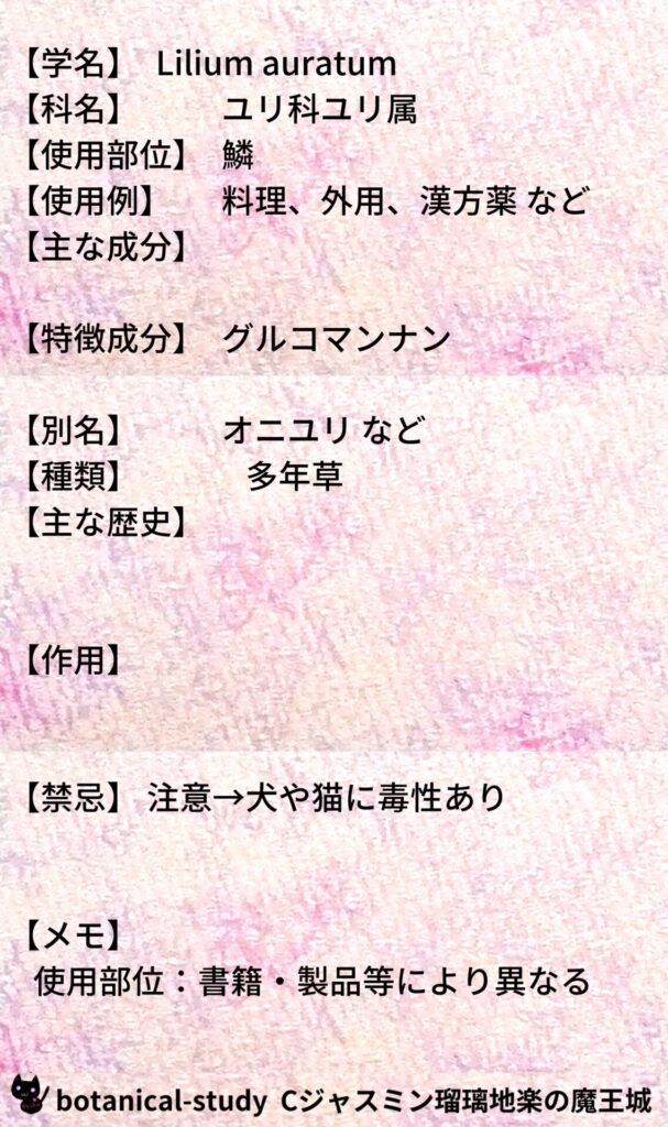 ヤマユリとCジャスミン瑠璃地楽のアロマハーブプチ辞典＠botanical-study/ハーブ